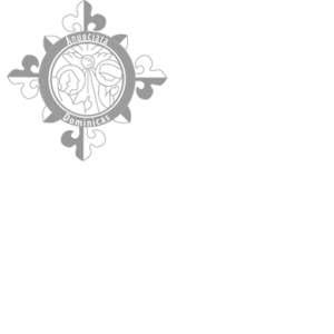 logo gris de la residencia Anunciata de Madrid